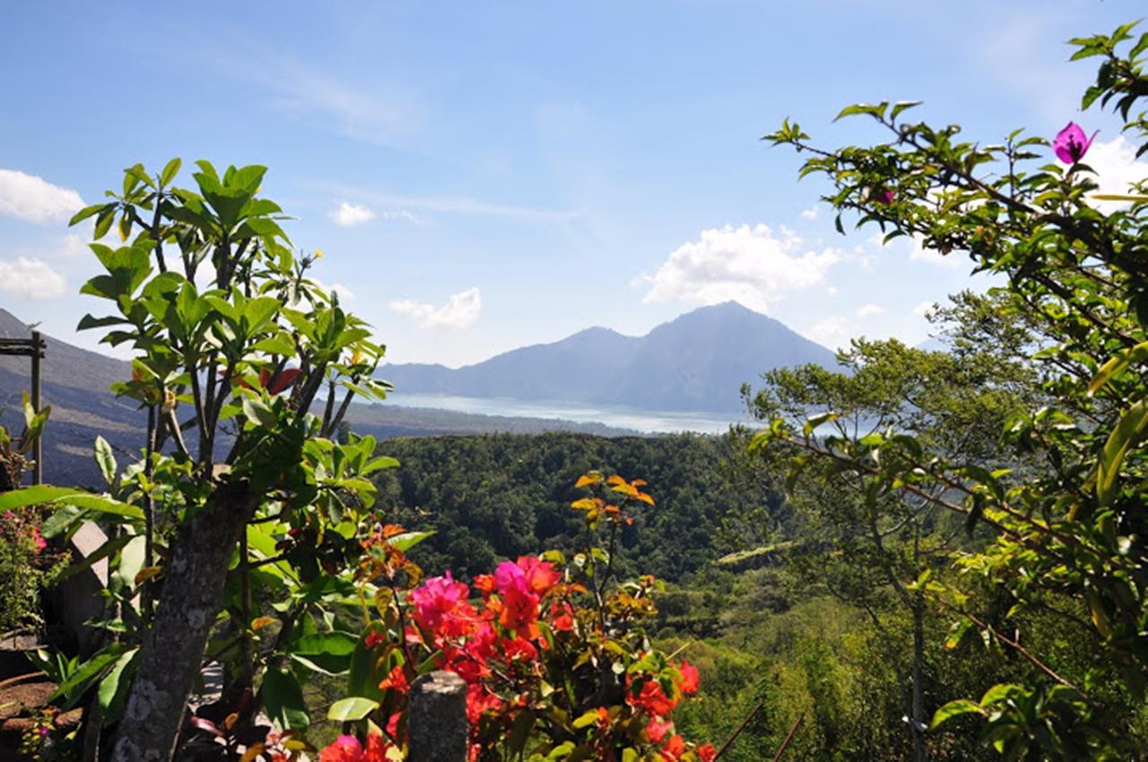 ホテル Alam Mimpi Bali テジャクラ エクステリア 写真